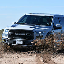 View all Ford