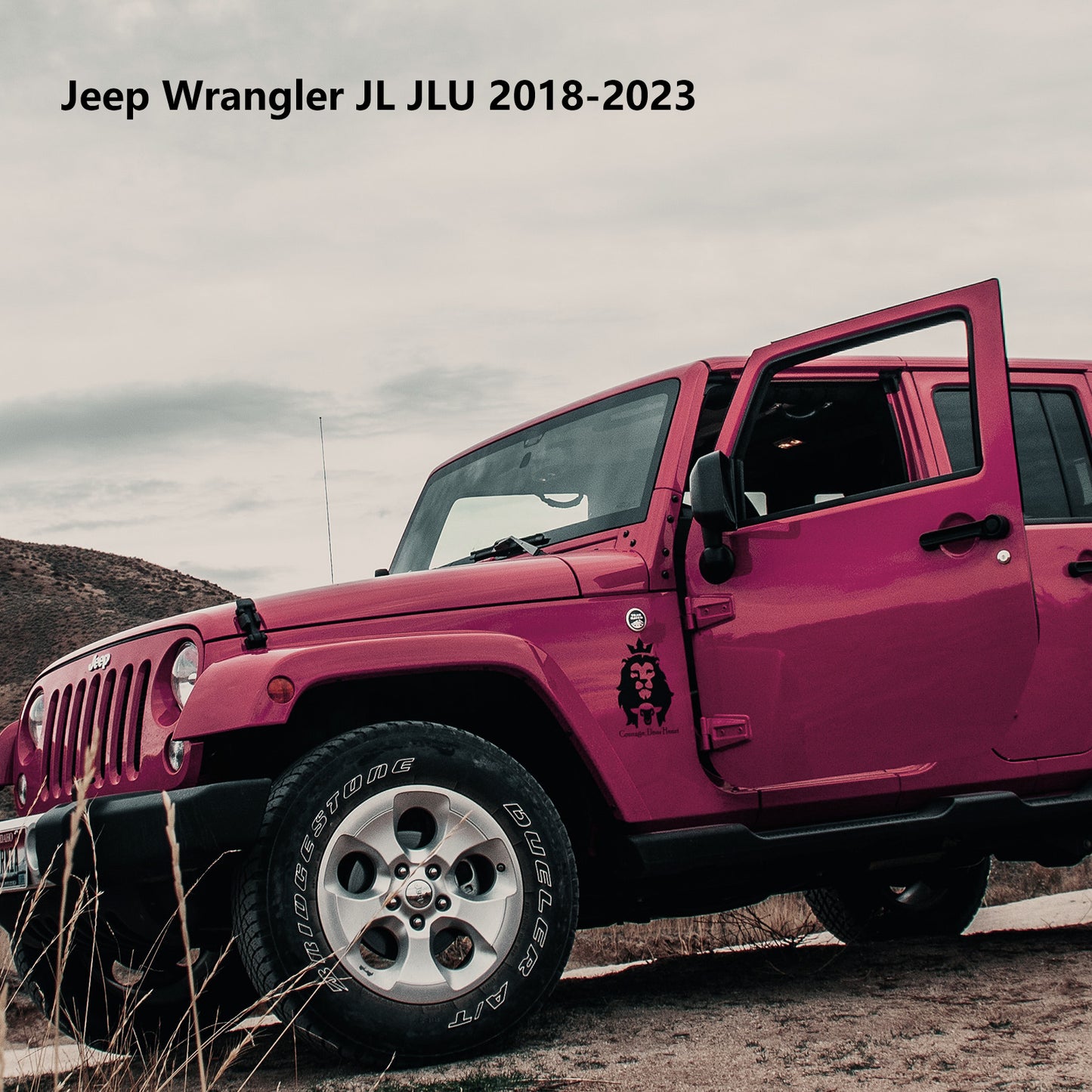 ETL INDUSTRIES Spare Tire Carrier Delete Plate Cover Exterior Accessories Compatible with Jeep Wrangler JL JLU 2018-2023